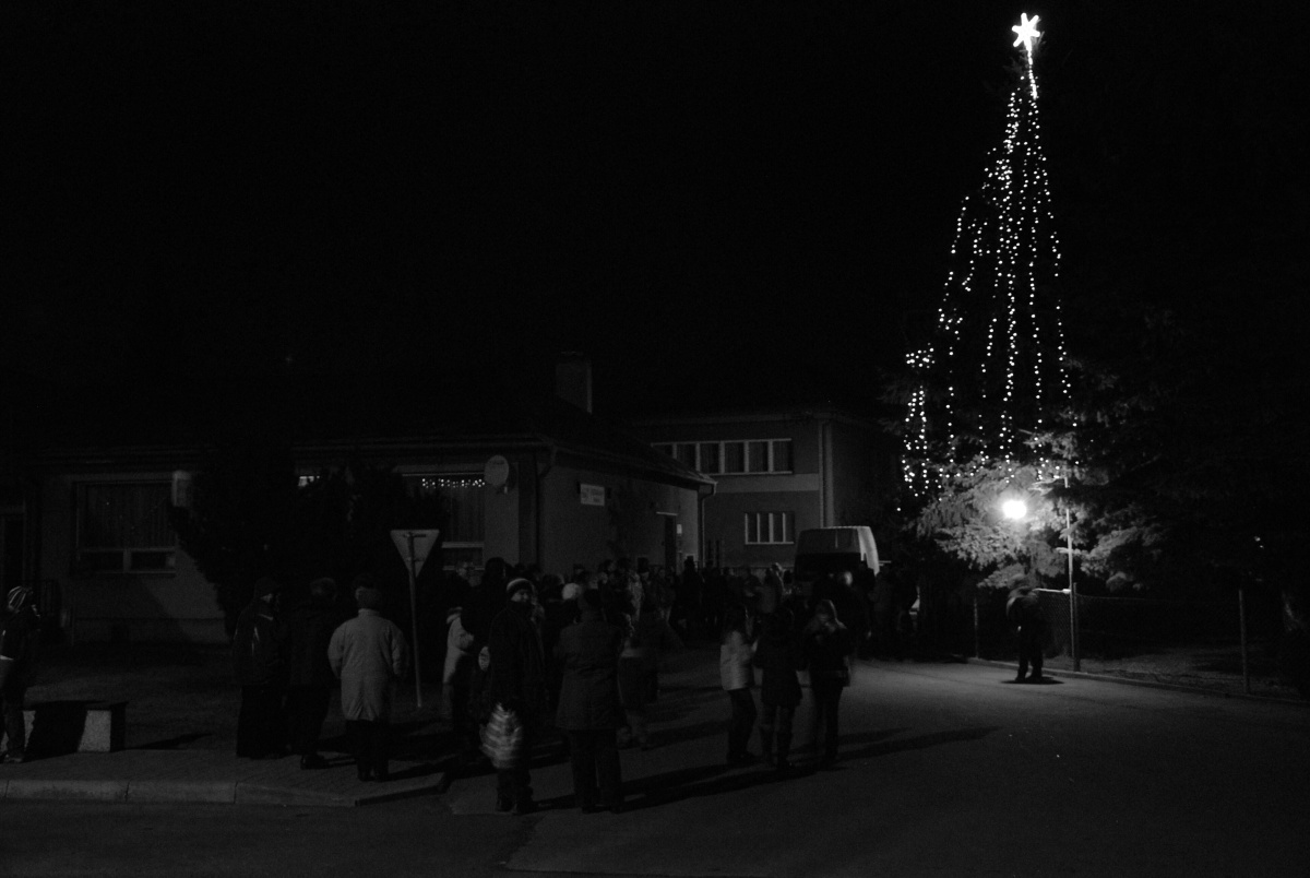 Zpívání u stromečku 2011